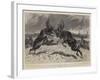 The Rivals, a Battle Royal Between Two Newfoundland Stags-John Charlton-Framed Giclee Print