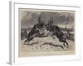 The Rivals, a Battle Royal Between Two Newfoundland Stags-John Charlton-Framed Giclee Print