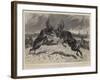 The Rivals, a Battle Royal Between Two Newfoundland Stags-John Charlton-Framed Giclee Print