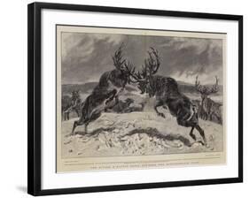 The Rivals, a Battle Royal Between Two Newfoundland Stags-John Charlton-Framed Giclee Print