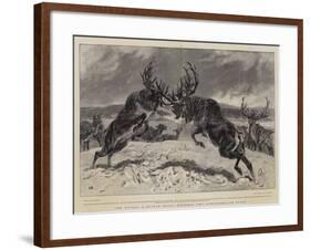 The Rivals, a Battle Royal Between Two Newfoundland Stags-John Charlton-Framed Giclee Print