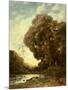 The River, 1896-Henri-Joseph Harpignies-Mounted Giclee Print