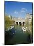 The River Avon and Pulteney Bridge, Bath, Avon, England, UK-Chris Nicholson-Mounted Premium Photographic Print