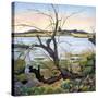 The River Colne-Cristiana Angelini-Stretched Canvas