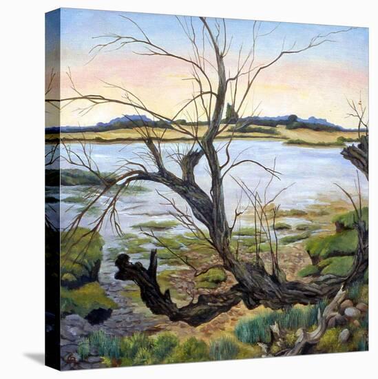 The River Colne-Cristiana Angelini-Stretched Canvas