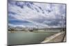 The River Danube, the Elisabeth Bridge, the Town of Pest-Massimo Borchi-Mounted Photographic Print