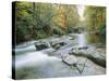 The River Esk, Eskdale, Lake District National Park, Cumbria, England, UK-Roy Rainford-Stretched Canvas
