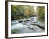 The River Esk, Eskdale, Lake District National Park, Cumbria, England, UK-Roy Rainford-Framed Photographic Print