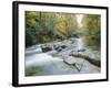 The River Esk, Eskdale, Lake District National Park, Cumbria, England, UK-Roy Rainford-Framed Photographic Print