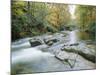 The River Esk, Eskdale, Lake District National Park, Cumbria, England, UK-Roy Rainford-Mounted Photographic Print