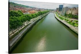 The river Ibaizabal, located on the North Coast of Spain in the Basque region.-null-Stretched Canvas