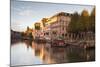 The River Ill and La Petite France, Strasbourg, Bas-Rhin, Alsace, France, Europe-Julian Elliott-Mounted Photographic Print