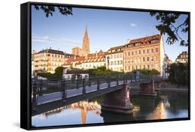 The River Ill and La Petite France, Strasbourg, Bas-Rhin, Alsace, France, Europe-Julian Elliott-Framed Stretched Canvas