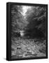 Essential Black