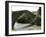 The River Nive, St. Etienne De Baigorry, Basque Country, Pyrenees-Atlantiques, Aquitaine, France-R H Productions-Framed Photographic Print