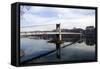 The River Rhone, Lyon, Rhone-Alpes, France, Europe-Oliviero-Framed Stretched Canvas