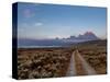 The River Road and Tetons on the Morning Light. Grand Teton National Park, Wyoming.-Andrew R. Slaton-Stretched Canvas