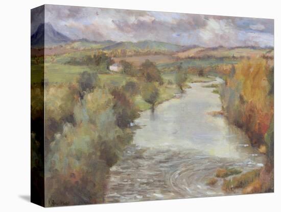 The River Tweed, Roxburghshire, 1995-Karen Armitage-Stretched Canvas