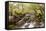 The River Undalain in Glen Undalain, Highlands, Scotland, United Kingdom, Europe-Julian Elliott-Framed Stretched Canvas