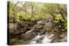 The River Undalain in Glen Undalain, Highlands, Scotland, United Kingdom, Europe-Julian Elliott-Stretched Canvas