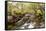 The River Undalain in Glen Undalain, Highlands, Scotland, United Kingdom, Europe-Julian Elliott-Framed Stretched Canvas