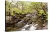 The River Undalain in Glen Undalain, Highlands, Scotland, United Kingdom, Europe-Julian Elliott-Stretched Canvas