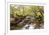 The River Undalain in Glen Undalain, Highlands, Scotland, United Kingdom, Europe-Julian Elliott-Framed Photographic Print