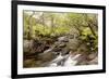 The River Undalain in Glen Undalain, Highlands, Scotland, United Kingdom, Europe-Julian Elliott-Framed Photographic Print