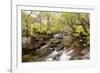 The River Undalain in Glen Undalain, Highlands, Scotland, United Kingdom, Europe-Julian Elliott-Framed Photographic Print