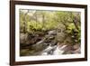 The River Undalain in Glen Undalain, Highlands, Scotland, United Kingdom, Europe-Julian Elliott-Framed Photographic Print