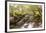 The River Undalain in Glen Undalain, Highlands, Scotland, United Kingdom, Europe-Julian Elliott-Framed Photographic Print