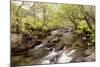 The River Undalain in Glen Undalain, Highlands, Scotland, United Kingdom, Europe-Julian Elliott-Mounted Photographic Print