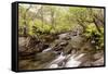 The River Undalain in Glen Undalain, Highlands, Scotland, United Kingdom, Europe-Julian Elliott-Framed Stretched Canvas