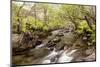 The River Undalain in Glen Undalain, Highlands, Scotland, United Kingdom, Europe-Julian Elliott-Mounted Photographic Print