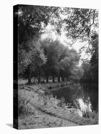 The River Wey-null-Stretched Canvas