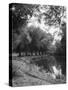 The River Wey-null-Stretched Canvas