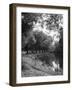 The River Wey-null-Framed Photographic Print