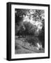 The River Wey-null-Framed Photographic Print