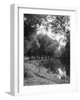 The River Wey-null-Framed Photographic Print