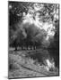 The River Wey-null-Mounted Photographic Print