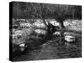 Stretched Canvas