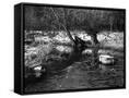 Canvas Black