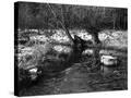 Stretched Canvas