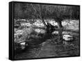 Canvas Black