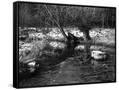 Canvas Black