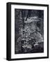 The River-John Dominis-Framed Photographic Print