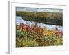 The River-Mandy Budan-Framed Giclee Print