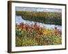 The River-Mandy Budan-Framed Giclee Print