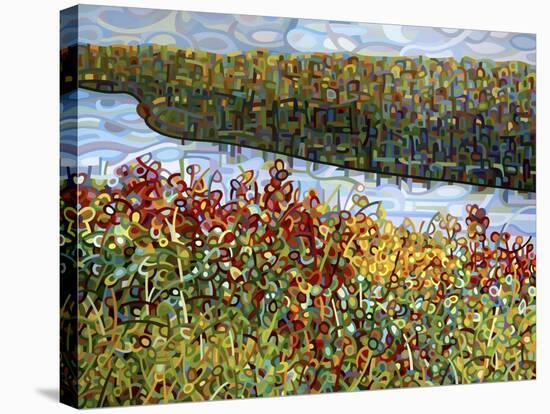 The River-Mandy Budan-Stretched Canvas