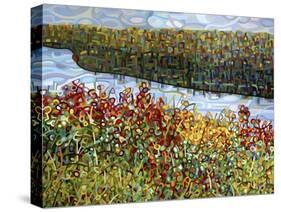 The River-Mandy Budan-Stretched Canvas